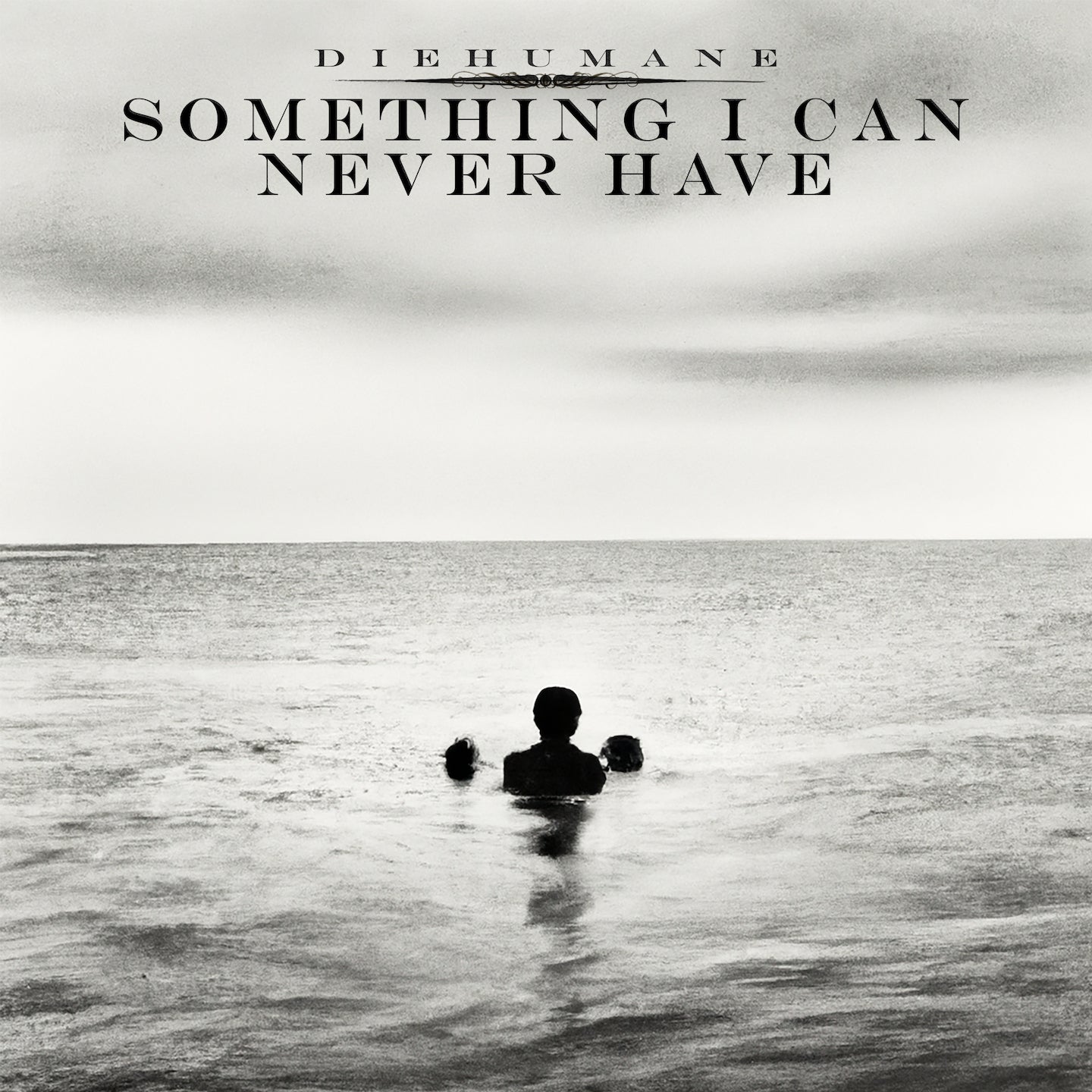 Something I Can Never Have